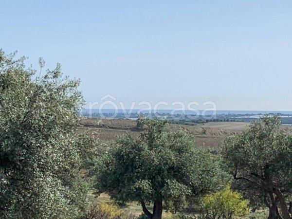 terreno agricolo in vendita a Noto