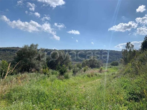 terreno agricolo in vendita a Noto