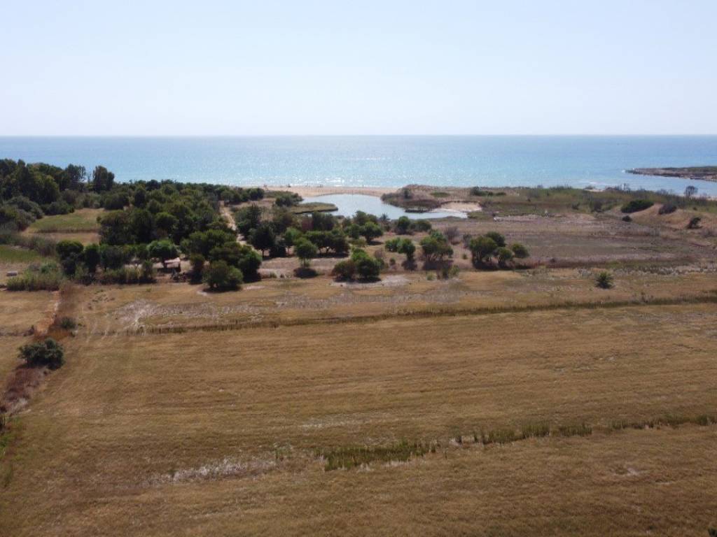terreno agricolo in vendita a Noto