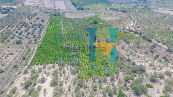 appartamento in vendita a Noto in zona Vendicari