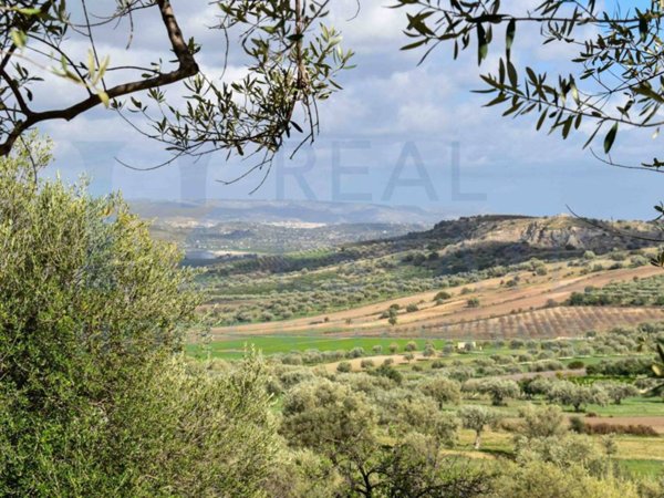 terreno agricolo in vendita a Noto