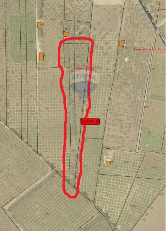 terreno agricolo in vendita a Noto in zona Vendicari