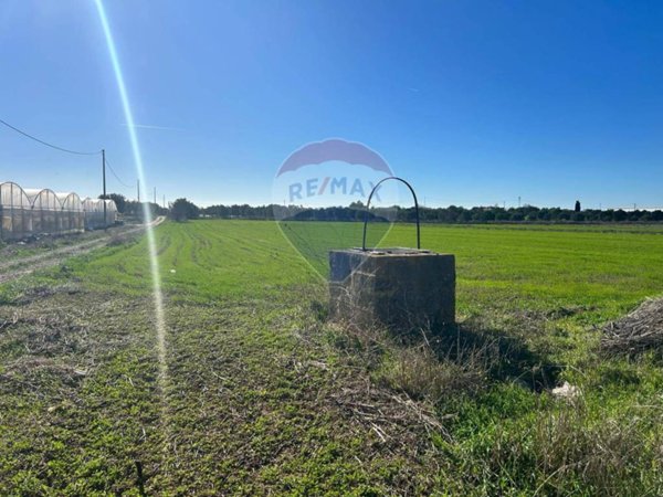 terreno agricolo in vendita a Noto