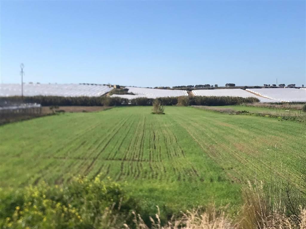 terreno agricolo in vendita a Noto in zona San Lorenzo