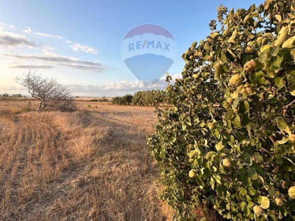 terreno agricolo in vendita a Noto in zona San Lorenzo