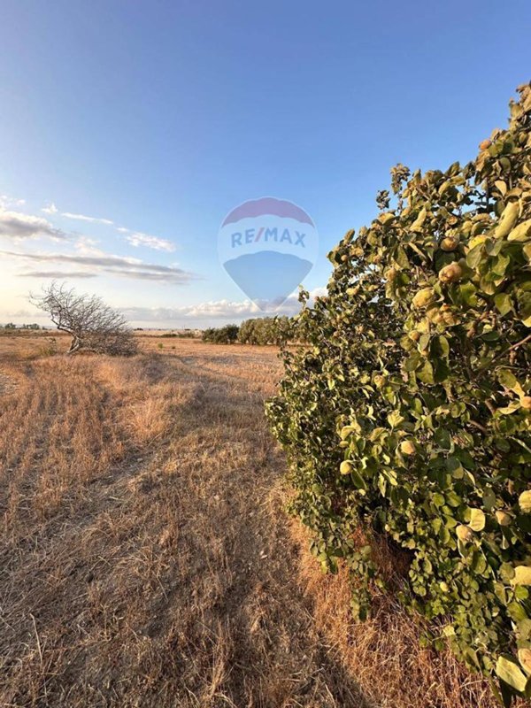 terreno agricolo in vendita a Noto in zona San Lorenzo