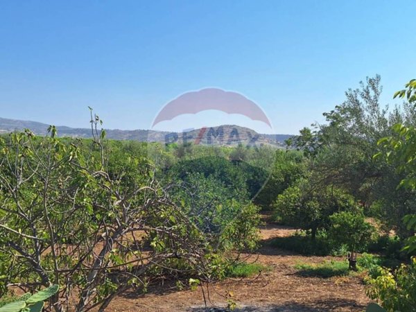 terreno agricolo in vendita a Noto