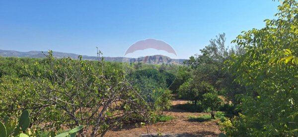 terreno agricolo in vendita a Noto