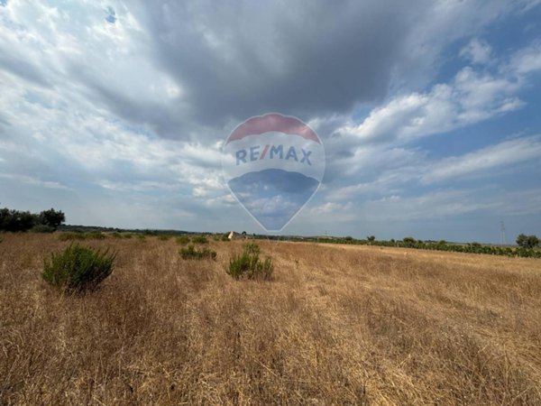 terreno agricolo in vendita a Noto in zona San Lorenzo