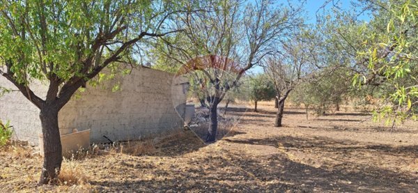 terreno agricolo in vendita a Noto