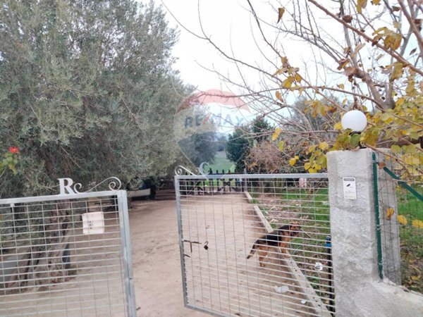 terreno agricolo in vendita a Noto in zona San Lorenzo