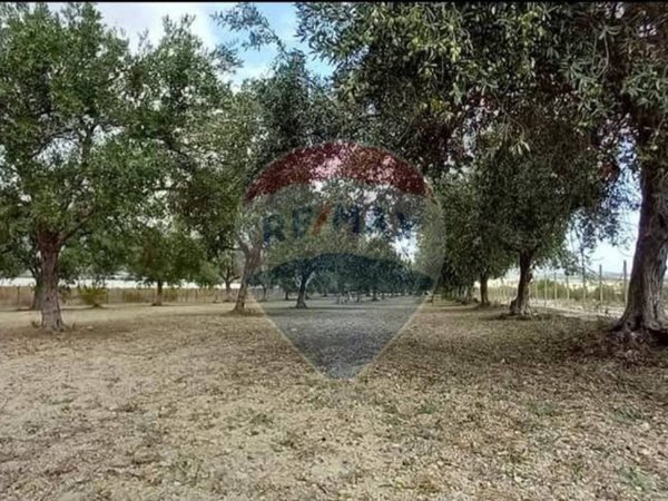 terreno agricolo in vendita a Noto