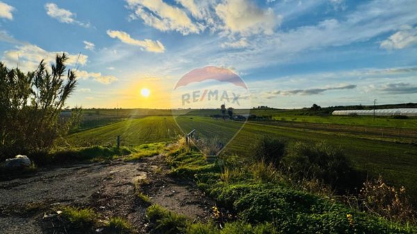 terreno agricolo in vendita a Noto in zona San Lorenzo