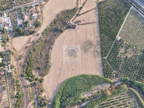 terreno agricolo in vendita a Noto in zona Lido di Noto