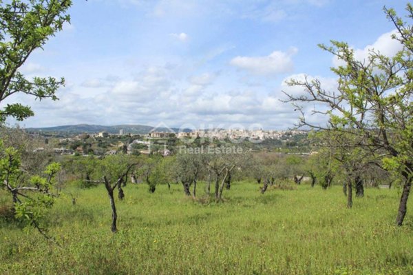 terreno agricolo in vendita a Noto in zona Lido di Noto