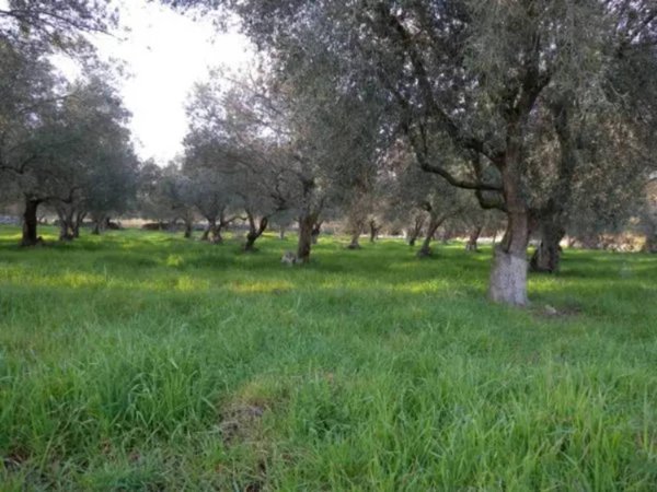 terreno agricolo in vendita a Noto