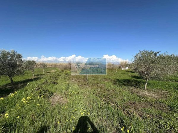 terreno agricolo in vendita a Noto in zona Vendicari