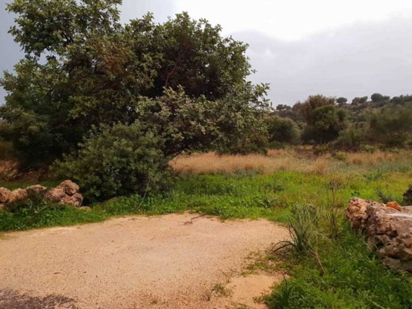 terreno agricolo in vendita a Noto