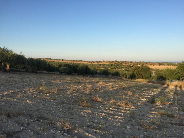 terreno agricolo in vendita a Noto in zona San Lorenzo