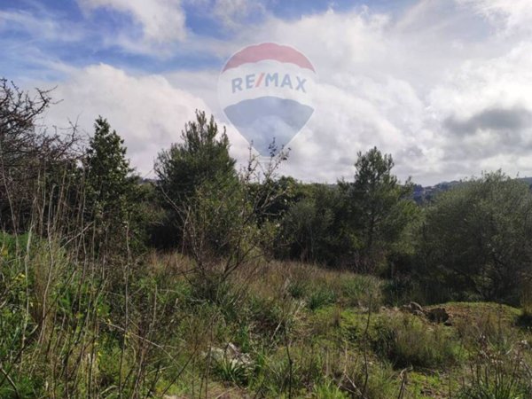 terreno agricolo in vendita a Noto in zona Lenzavacche