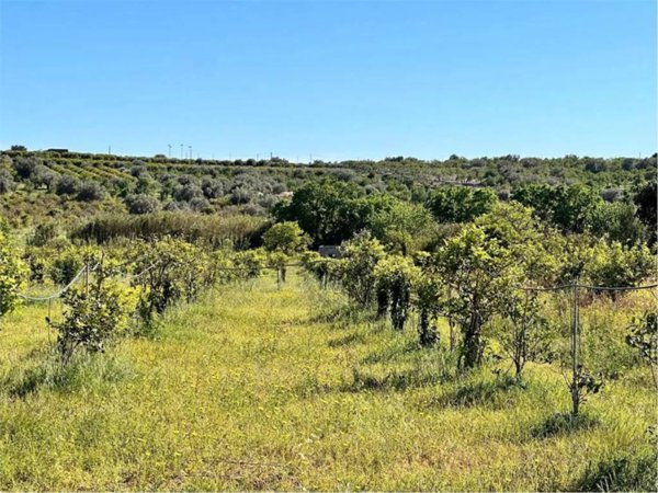 terreno agricolo in vendita a Noto