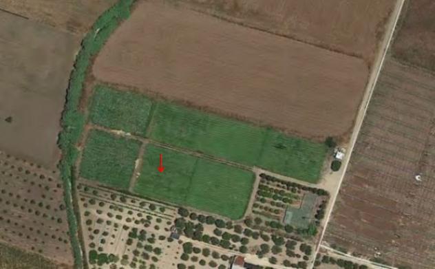 terreno agricolo in vendita a Noto