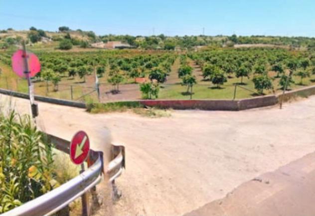 terreno agricolo in vendita a Noto