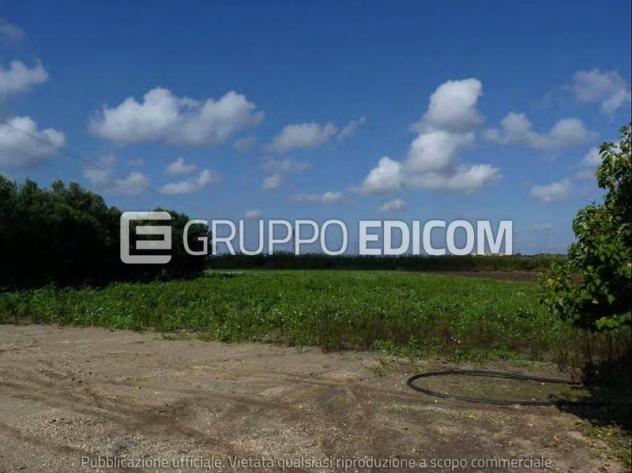 terreno agricolo in vendita a Noto