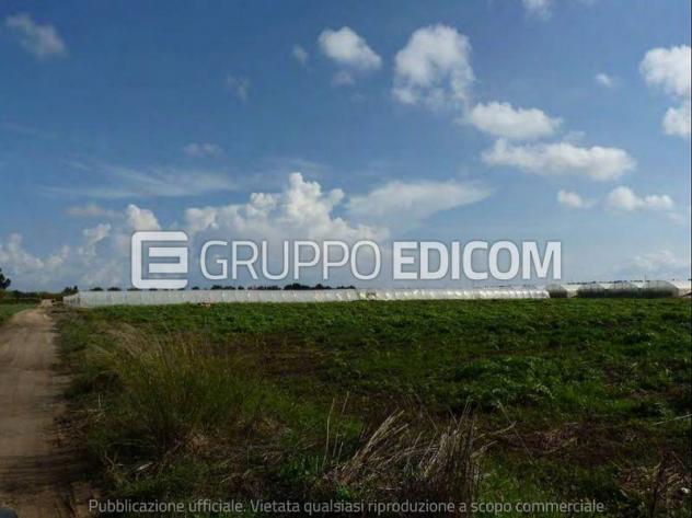 terreno agricolo in vendita a Noto