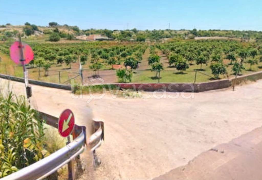 terreno agricolo in vendita a Noto