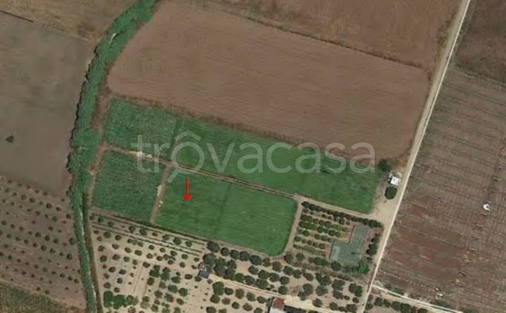 terreno agricolo in vendita a Noto