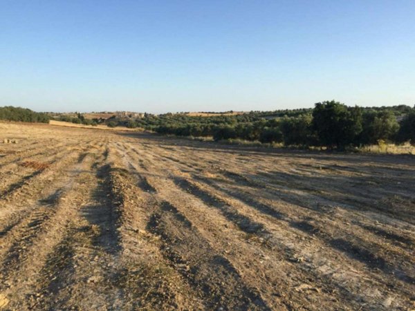 terreno agricolo in vendita a Noto in zona San Lorenzo