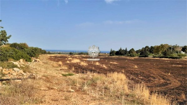 terreno agricolo in vendita a Noto