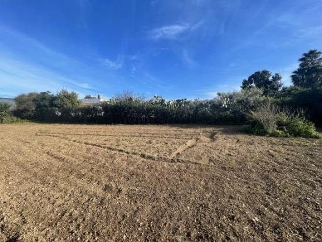 terreno agricolo in vendita a Noto in zona San Lorenzo