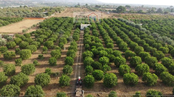 terreno agricolo in vendita a Noto in zona Lido di Noto