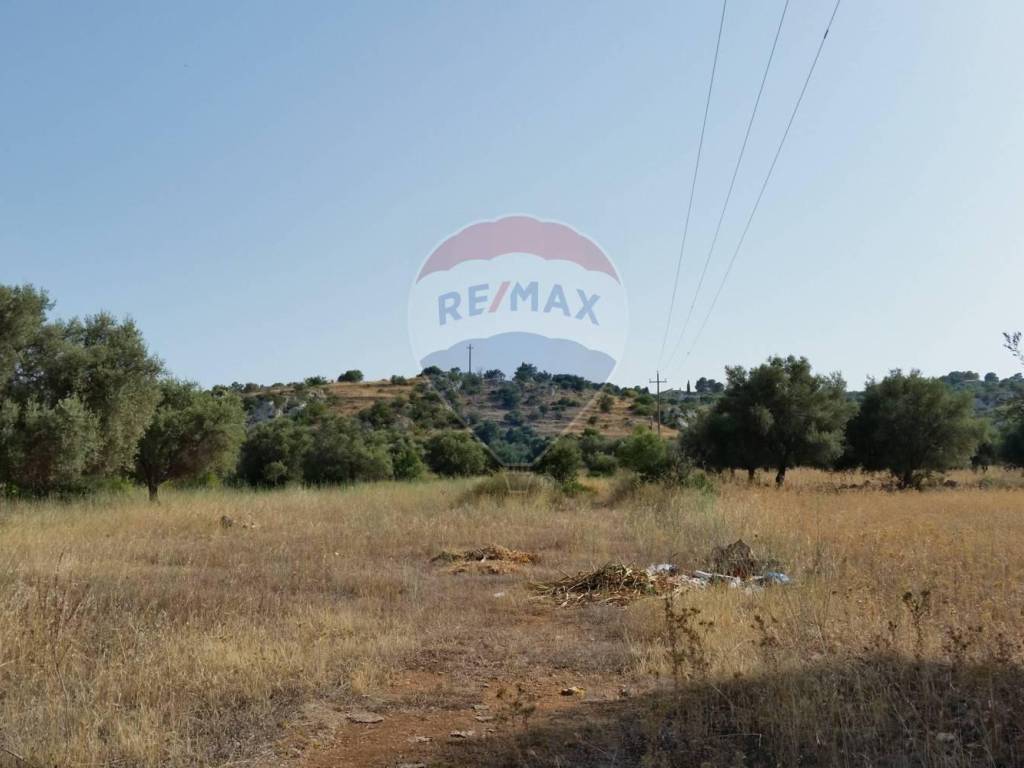 terreno agricolo in vendita a Noto