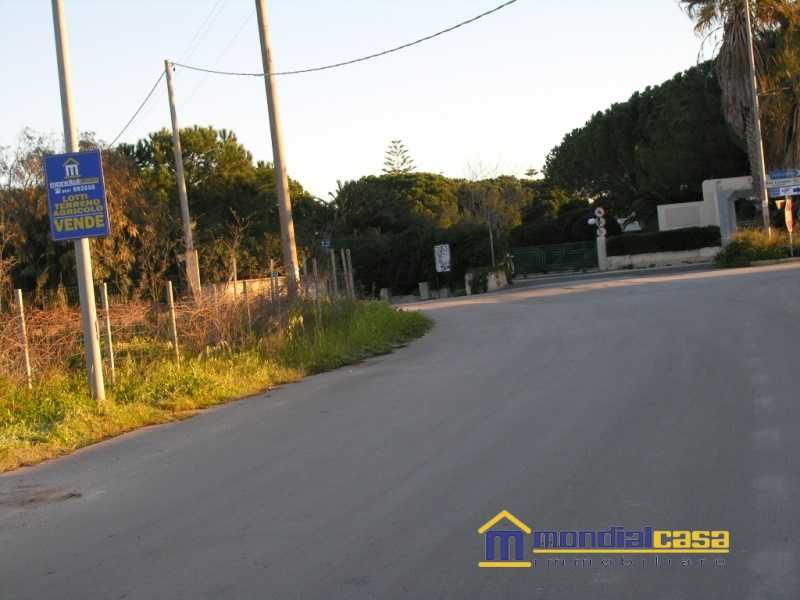 terreno agricolo in vendita a Noto in zona San Lorenzo
