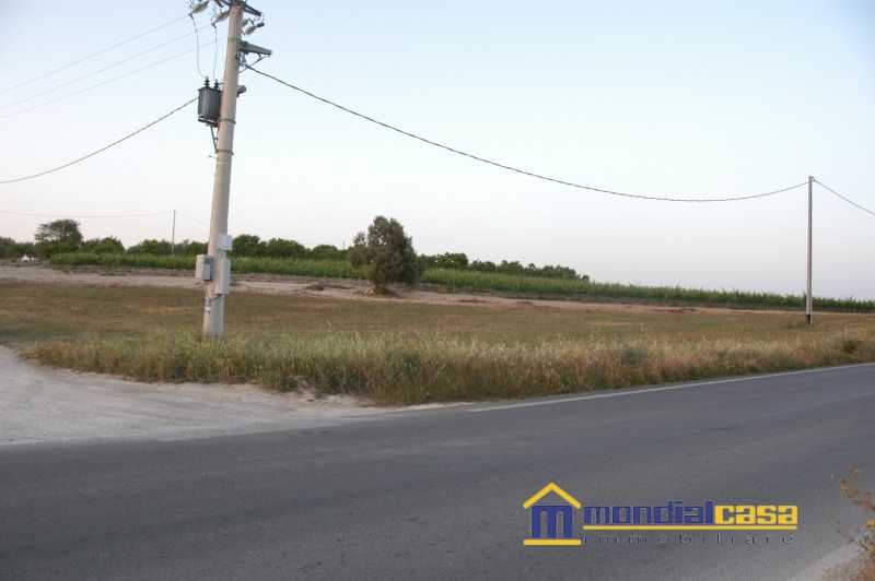terreno agricolo in vendita a Noto