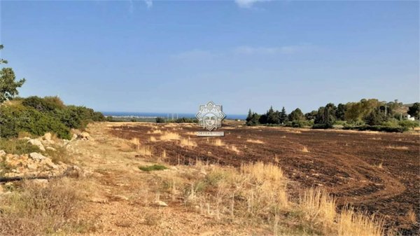terreno agricolo in vendita a Noto