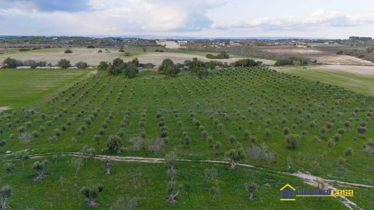 terreno agricolo in vendita a Noto