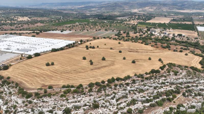 terreno agricolo in vendita a Noto