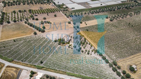 appartamento in vendita a Noto