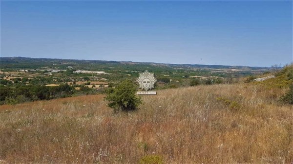 terreno agricolo in vendita a Noto