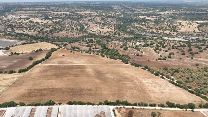 terreno agricolo in vendita a Noto