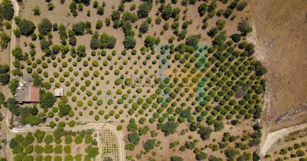 appartamento in vendita a Noto in zona Vendicari