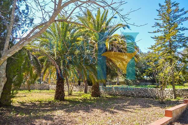 casa indipendente in vendita a Noto in zona Vendicari