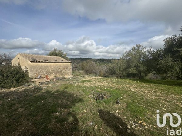 terreno agricolo in vendita a Noto