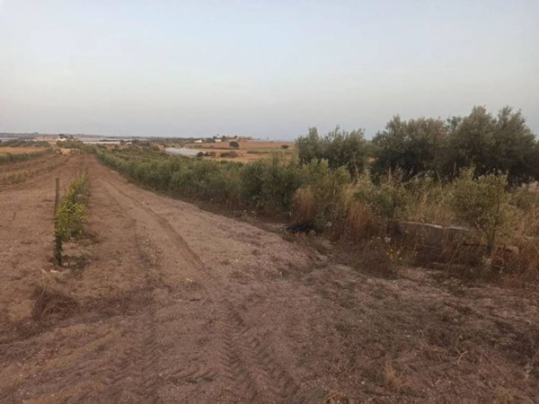 terreno agricolo in vendita a Noto