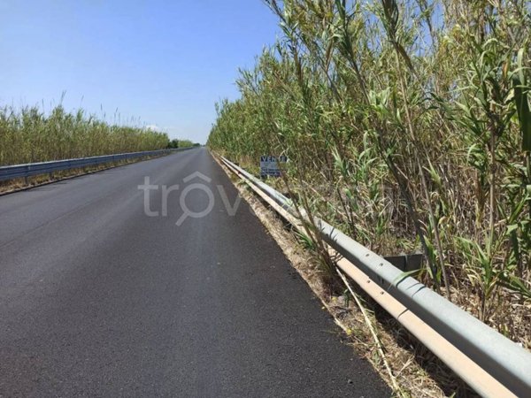 terreno agricolo in vendita a Noto in zona Vendicari