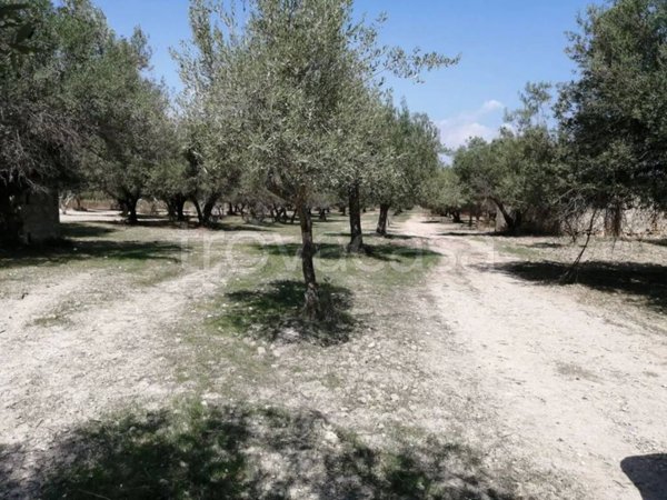 terreno agricolo in vendita a Noto in zona San Lorenzo